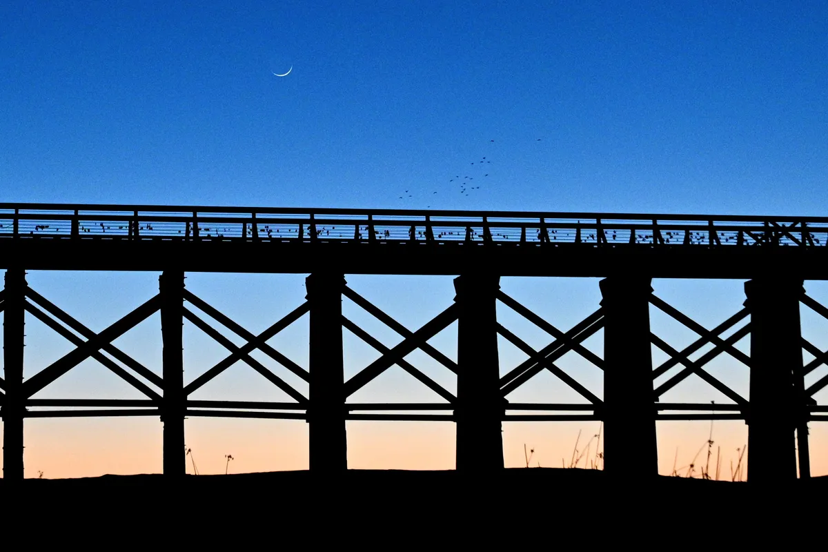 The Pudding Creek Trestle stands dark against a blue-to-amber dusk, birds lining its railing and a thin crescent moon above.