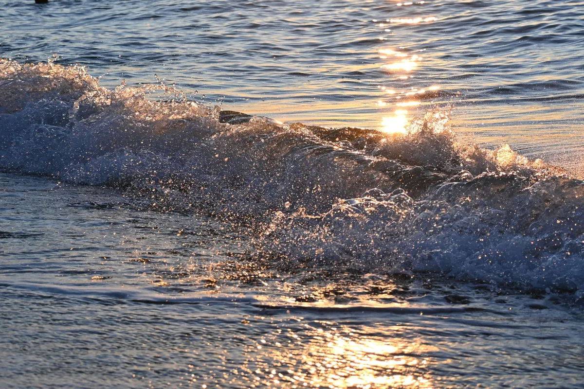 Sunset Breaking Wave